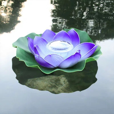 Solar Powered Outdoor Floating Pool Lights | Wayfair North America