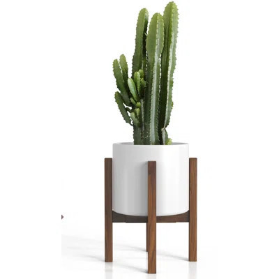 Id Century Plant Stand - Solid Wood Item Stand Handmade With Acacia - Fits Medium & Large Pots Sizes 8 To 12 Inches | Wayfair North America