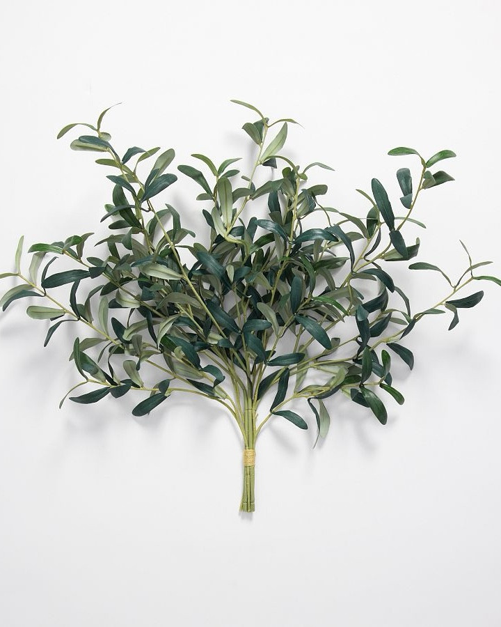 Faux Olive bundle 

Add this faux bundle to any vase for height and a pop of color  

#LTKFallSale #LTKSeasonal #LTKHome