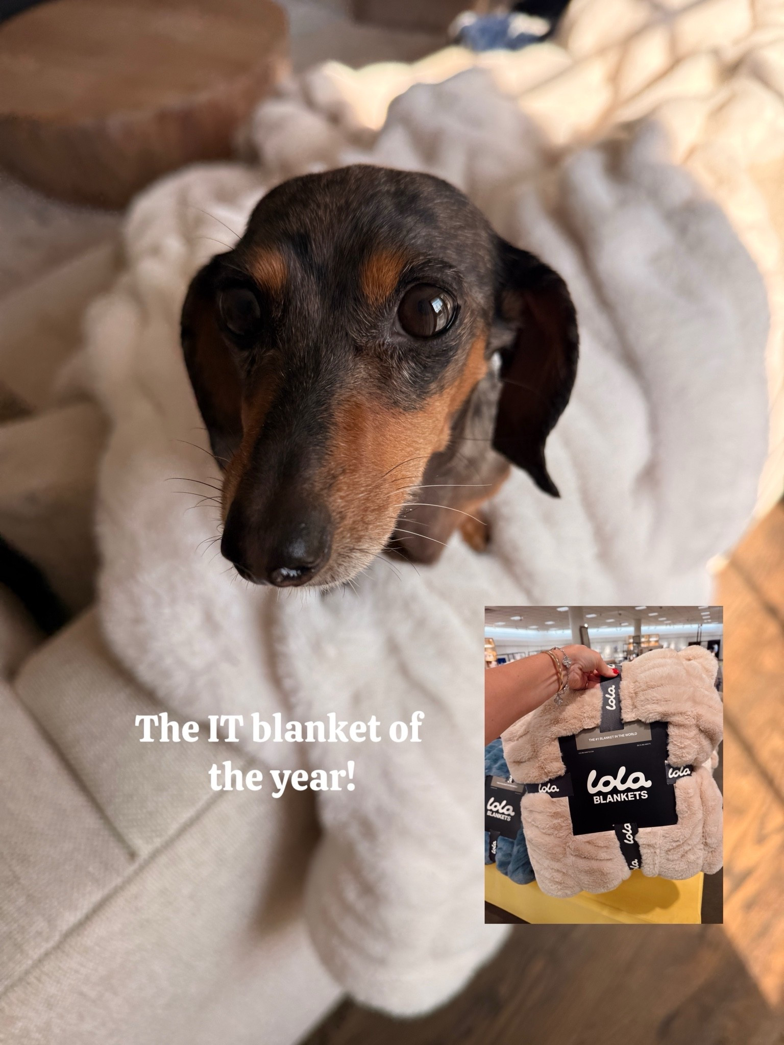 Grab these blankets while they’re on sale!!!

 Nsale, Nordstrom anniversary sale, home sale

#LTKSaleAlert #LTKHome #LTKSeasonal
