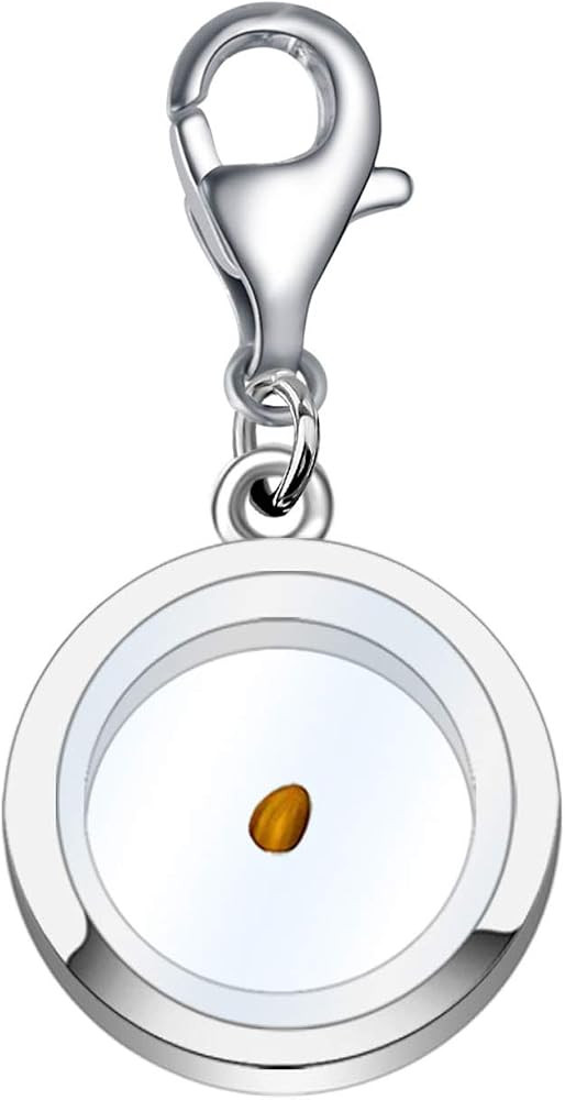 BEKECH Faith Mustard Seed Charm Zipper Pull Clip On for Religious Men Women | Amazon (US)