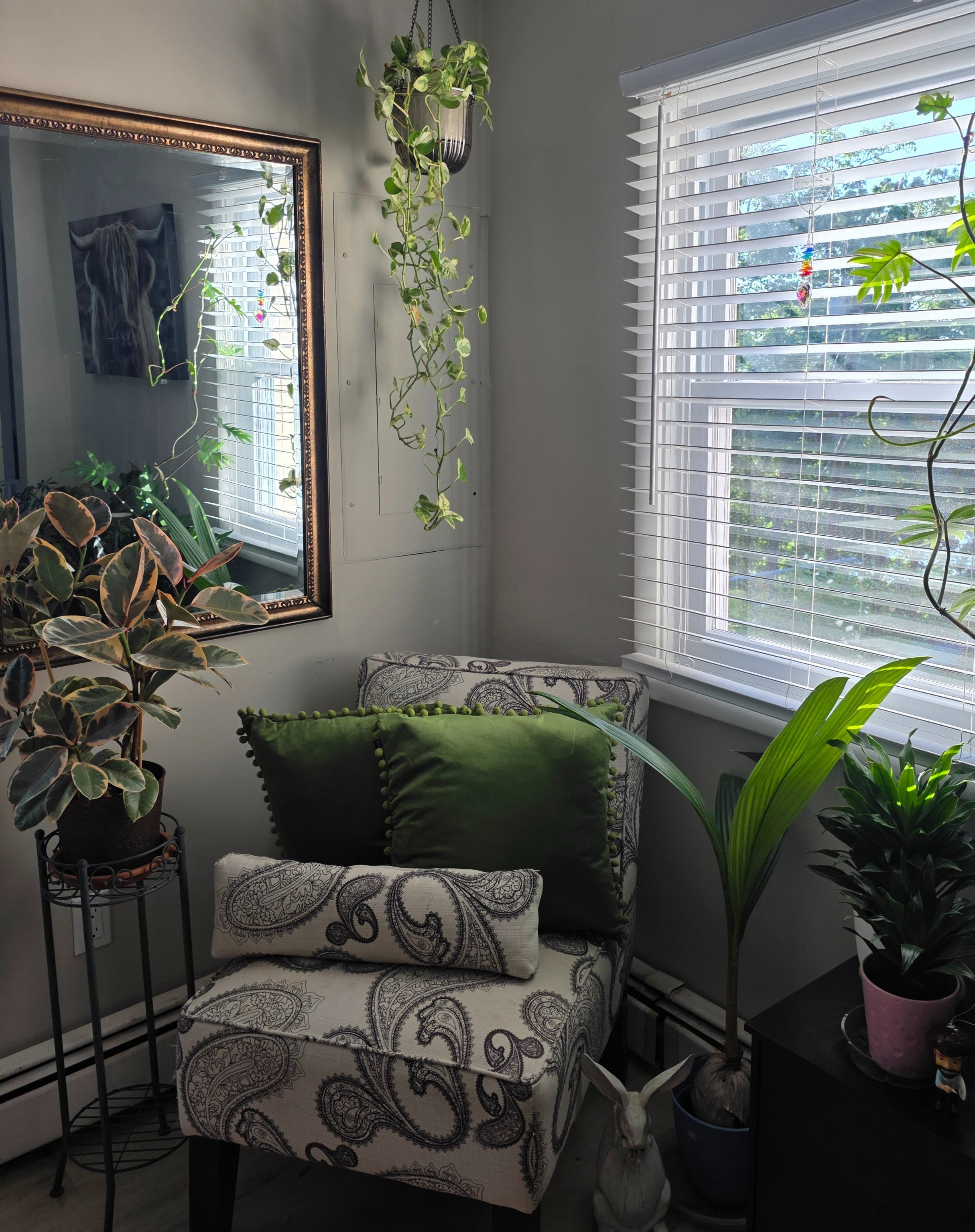 Here's the whole reveal of the corner I started showing you a few weeks ago, before I got distracted 🤣 Any guesses on the total number of plants 🪴?? Especially after THIS weekend, I have no clue 😆 BUT if YOU guess, I'll count. This corner has some of my favorite things... ✔️Window - Light ✔️Mirror - For more light ✔️Plants - Some of my coolest 😎 That's a coconut 🥥 palm 🌴 It's a palm tree growing out of a coconut!! It even has a cute chair with extra pillows lol 😆 The chair was left here... amazing, right!! 👏 There's mirror i have had foreva and eva and eva... But if I had to recreate this look, here's what I would get ⬇️🔗🙌#affiliated #affiliatemarketing ##wayfair #amazon #homedecor

#LTKdayinmylife #LTKHome #LTKselfcare