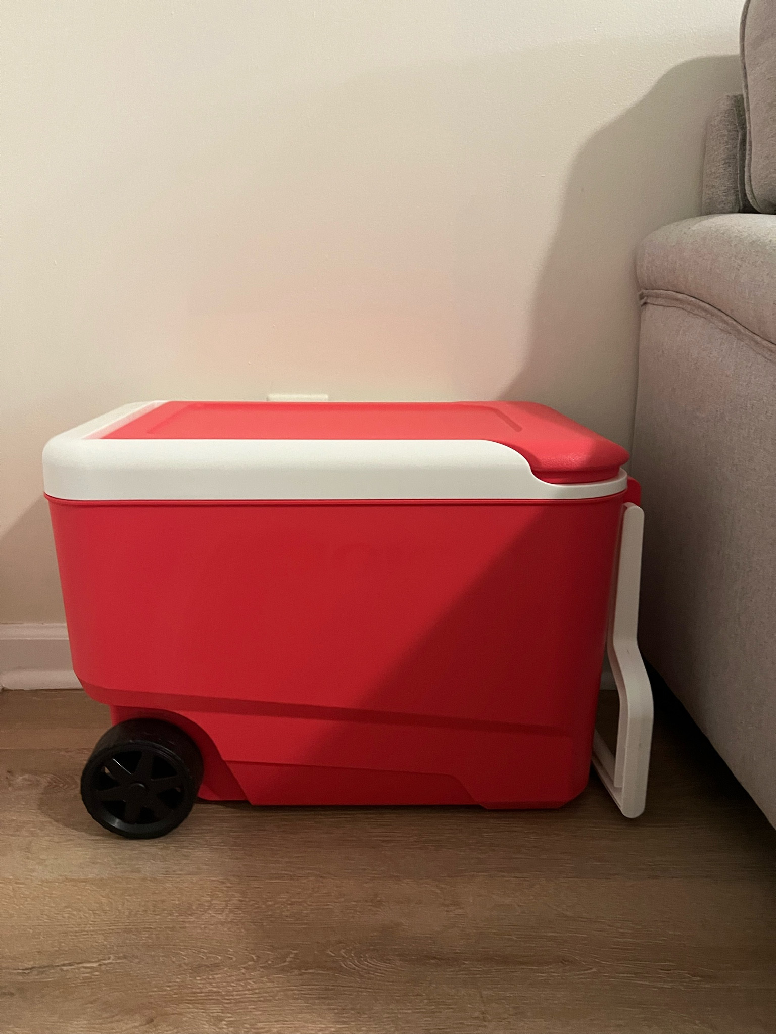 Pink cooler with wheels 

#LTKSeasonal #LTKunder50 #LTKtravel