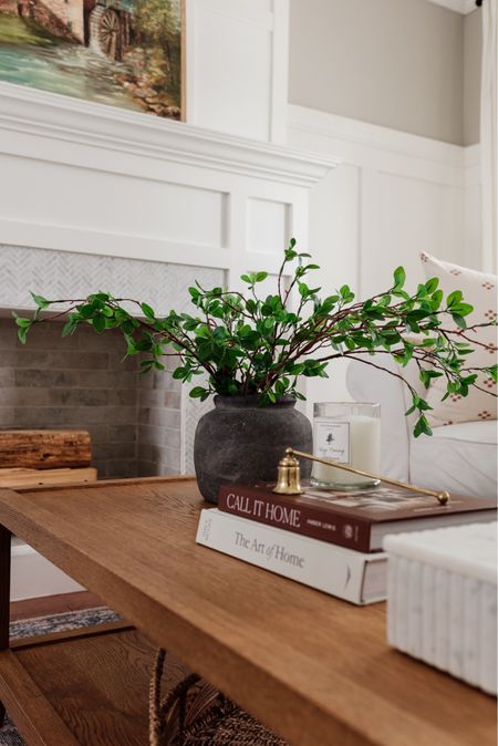 Artificial ficus stems from Amazon are an inexpensive way to add a touch of spring to any space. 



#LTKhome