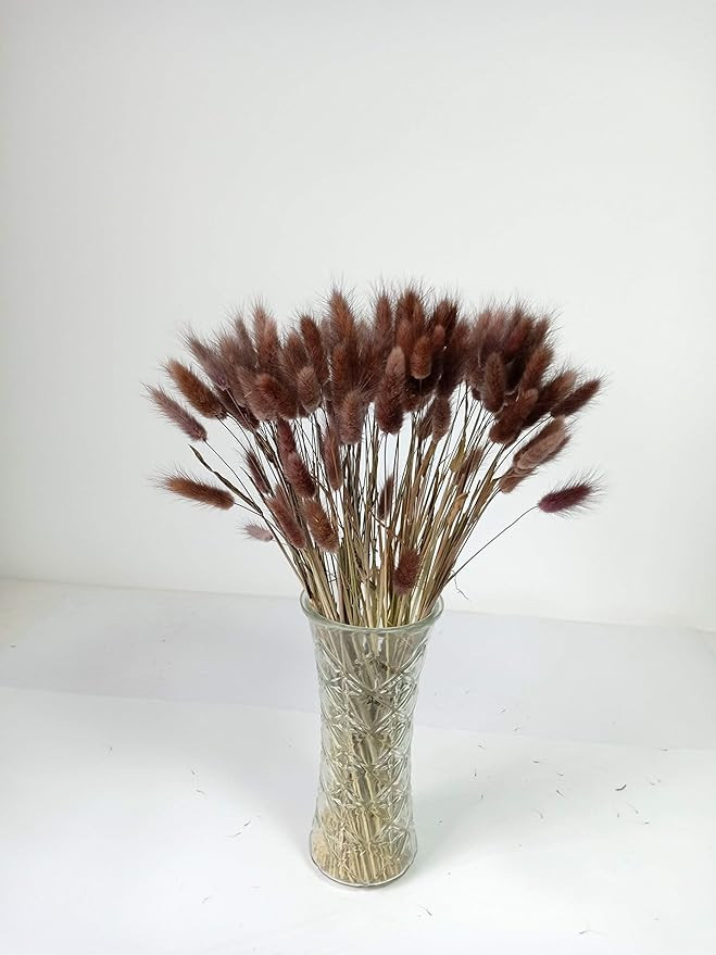 110 Stems Dried Bunny Tail Grass,Natural Dried Lagurus Ovatus,RABIT Tail Grass for Wedding Decor ... | Amazon (US)