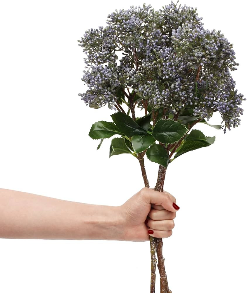 DILATATA Plastic 20 Inch Pepperberry Artificial Blueberry Stems Holly Christmas Berries for Festi... | Amazon (US)