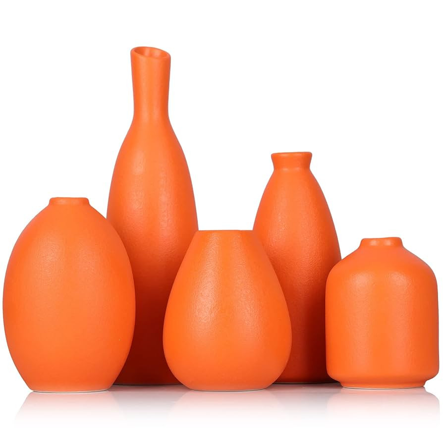 Orange Ceramic Small Vase Set of 5 - Modern Orange Decor Small Bud Vases for Floral Arrangements,... | Amazon (US)