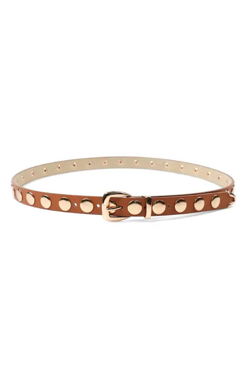 Petit Moments Disc Stud Belt in Tan/Gold at Nordstrom, Size X-Small | Nordstrom