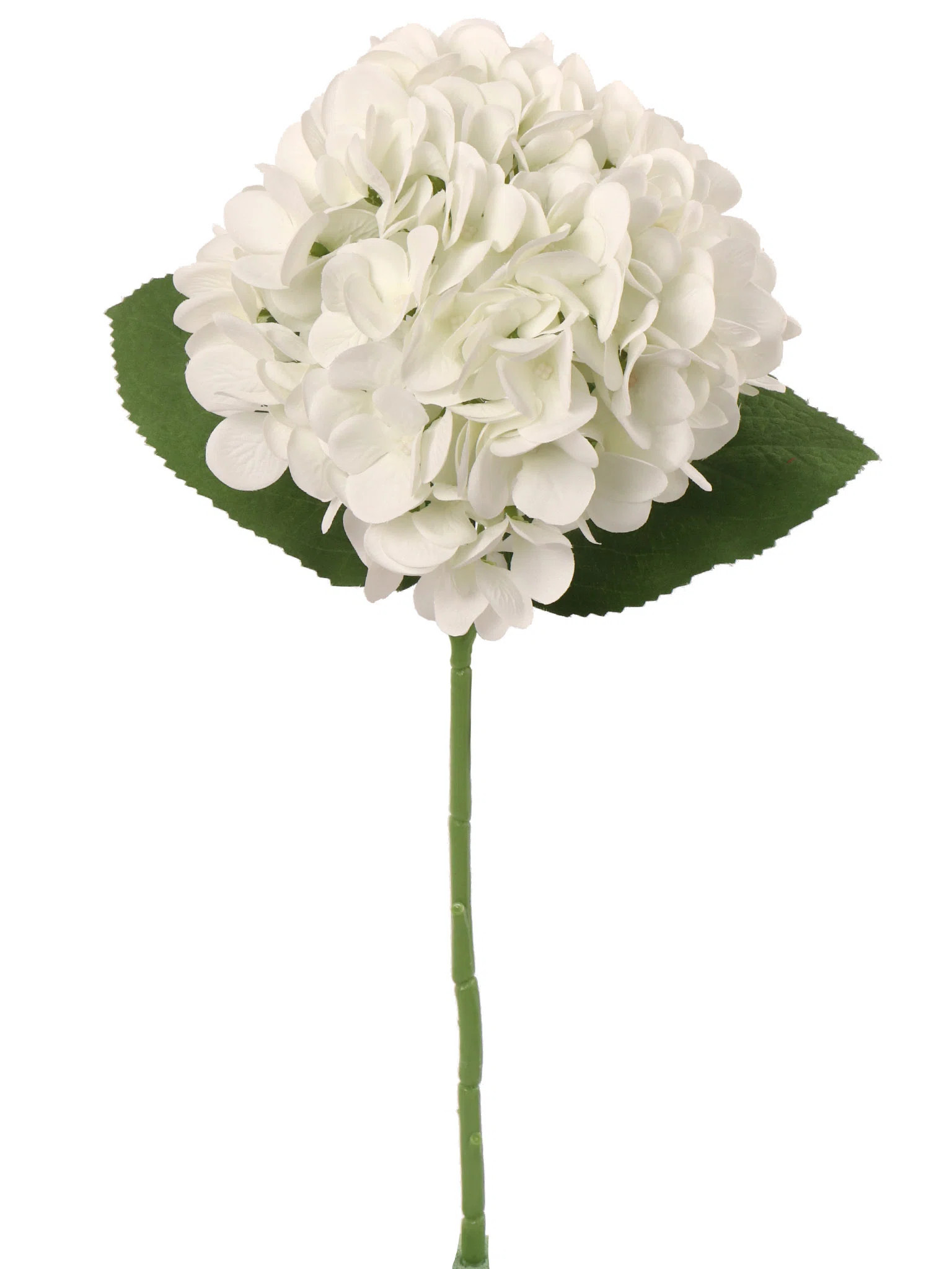 Timeless 18-inch White Hydrangea Stem - Classic 7-inch Diameter (Set of 4) | Wayfair North America
