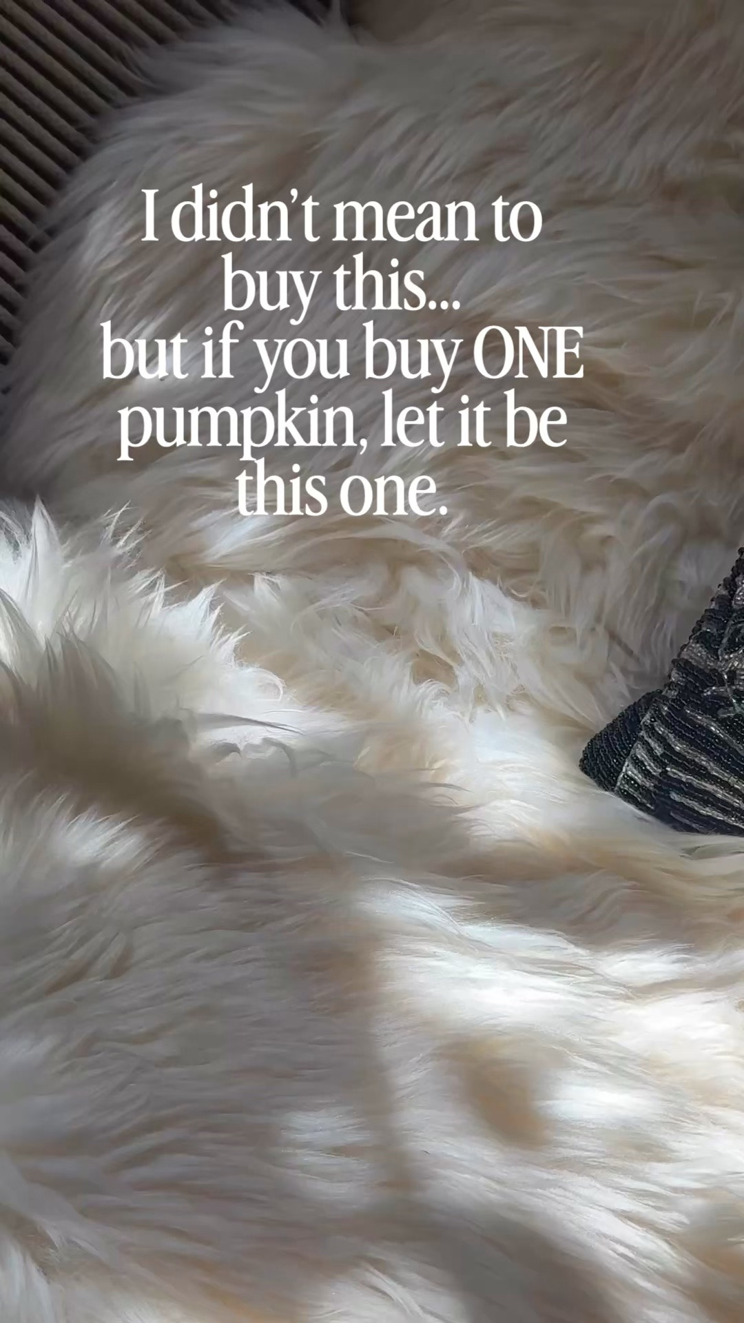 Whitewash terracotta pumpkin with candle! The prettiest pumpkin for the Fall Season! Two sizes. $25 and under!

#LTKSeasonal #LTKHome #LTKSaleAlert