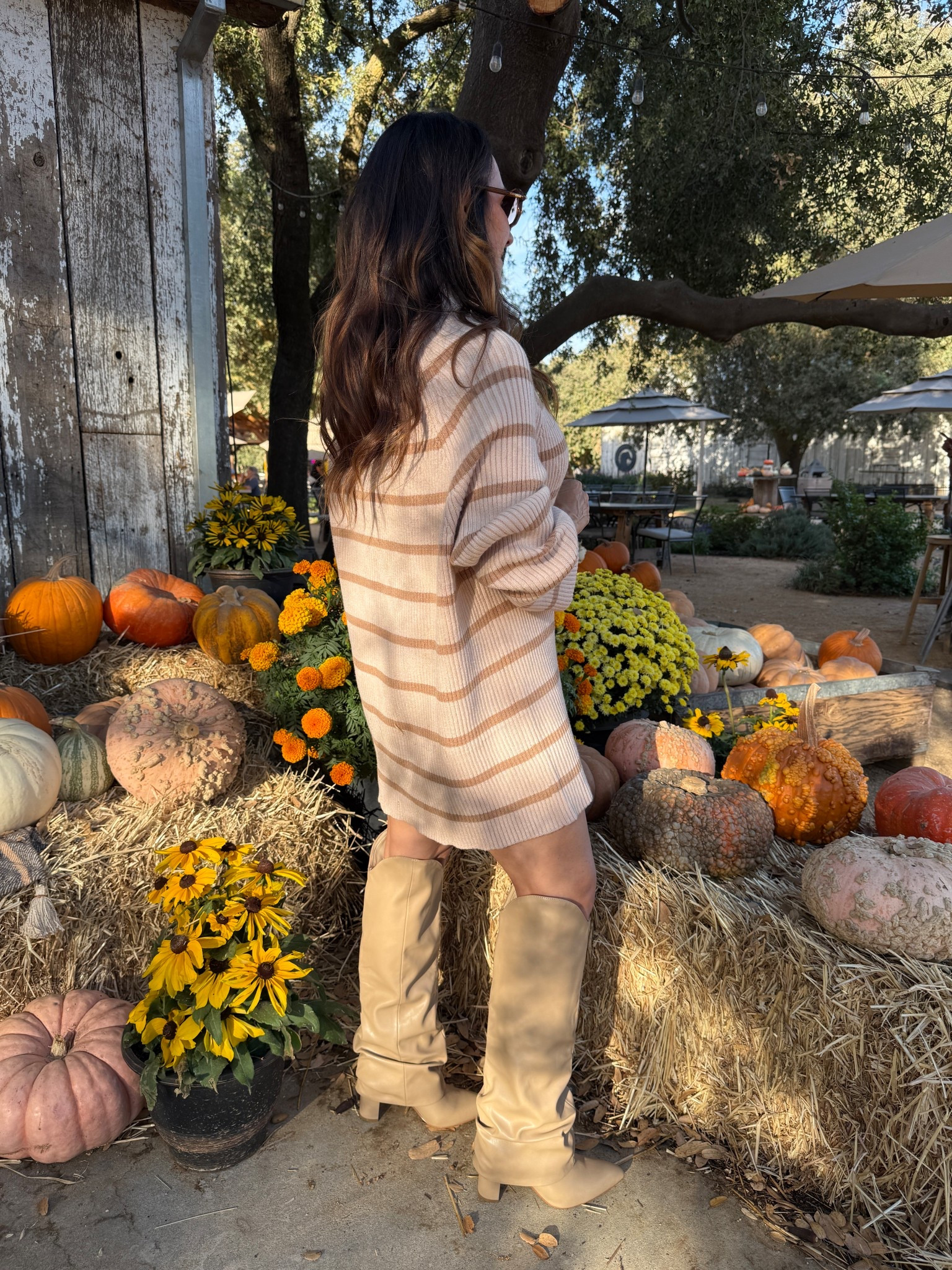 My favorite striped Fall sweater dress is back! 

#LTKPetite #LTKStyleTip #LTKSeasonal