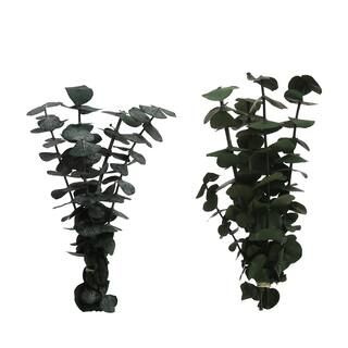 Assorted Mini Eucalyptus Bouquet by Ashland® | Michaels Stores