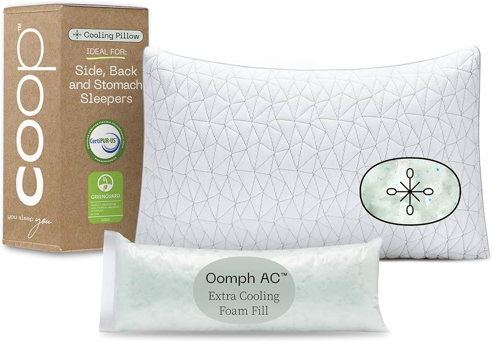 Coop Home Goods Eden Pillow Queen Size Bed Pillow for Sleeping - Medium Soft Memory Foam Pillows ... | Amazon (US)