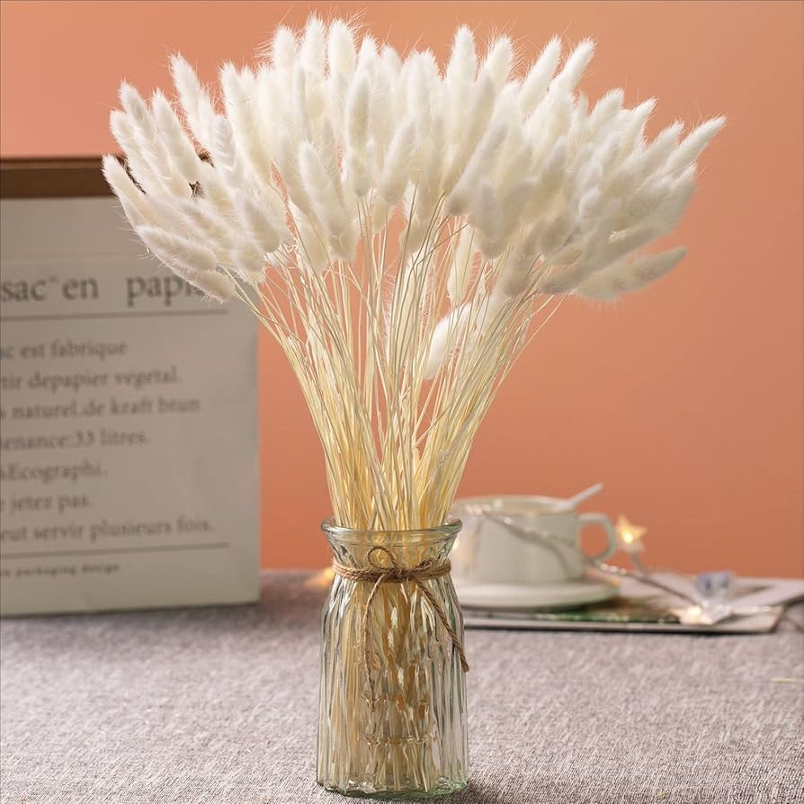 Natural Dried Bunny Tail Grass - 110~120 Stems Rabbit Tail Grass, Lagurus Ovatus for Boho Decor, ... | Amazon (US)
