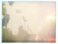 Palm Trees in the Rain (Stranger than Paradise) Photography by Stefanie Schneider | Saatchi Art