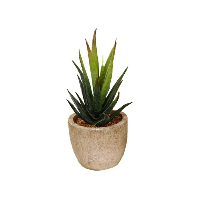 HCTSHG Artificial Succulents in Pots - Small Fake Plants Mini Succulent Agave Faux Plants Indoor ... | Walmart (US)
