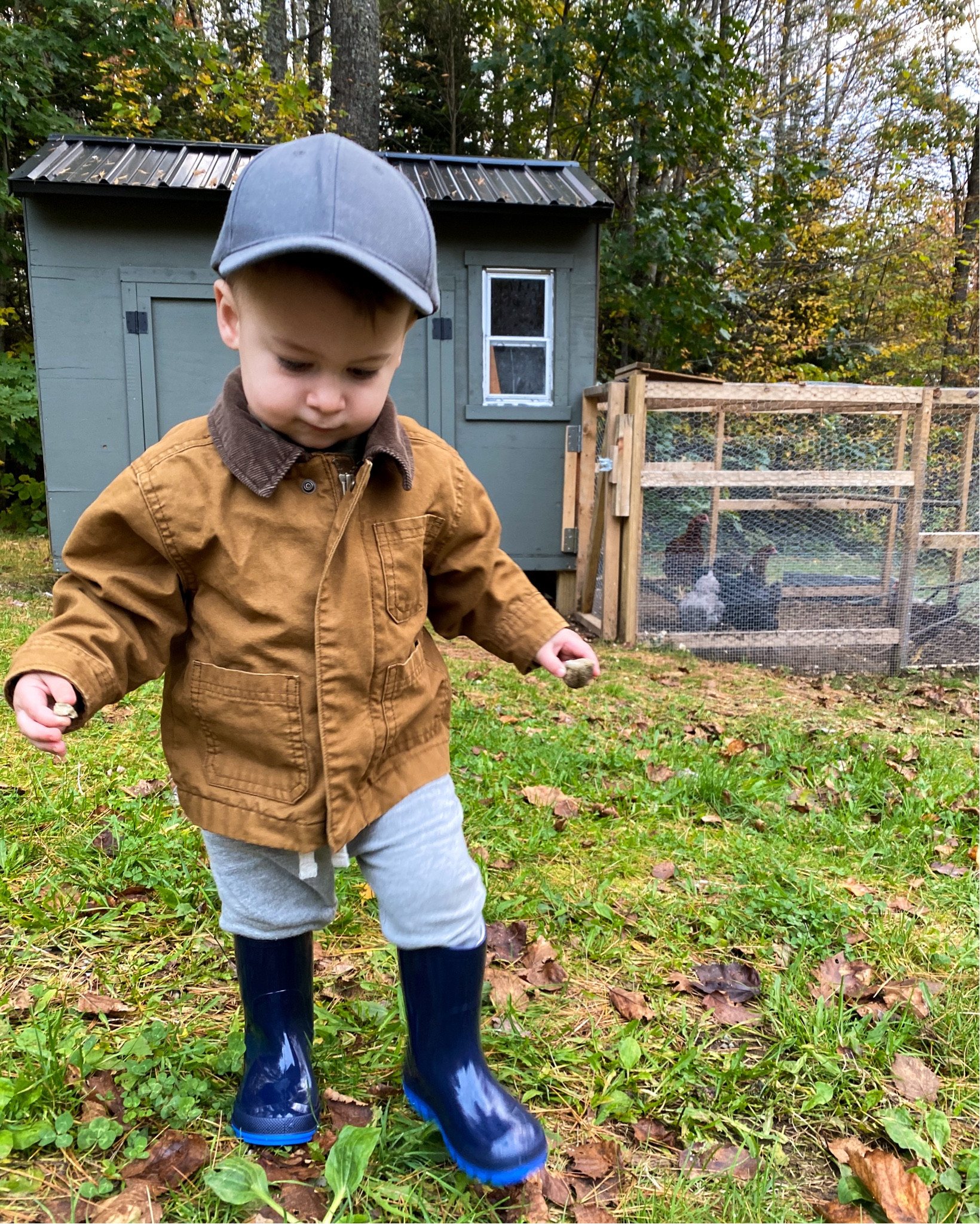 Someone’s ready for chicken chores! 

These tiny rain boots are just $15 and perfect for playing in the mud! And our favorite toddler sweatpants are under $15! They have a functional drawstring which is awesome since Shepherd now needs a size up for length but they’re still a little big in the waist- the drawstring gives a custom fit. 

His jacket is flannel lined and 100% cotton! (And 50% off today!)

Toddler outfits. Fall outfits for kids. Toddler boy outfits. Neutral kids clothes. Every day kids outfit ideas 

#LTKSeasonal #LTKkids #LTKfamily
