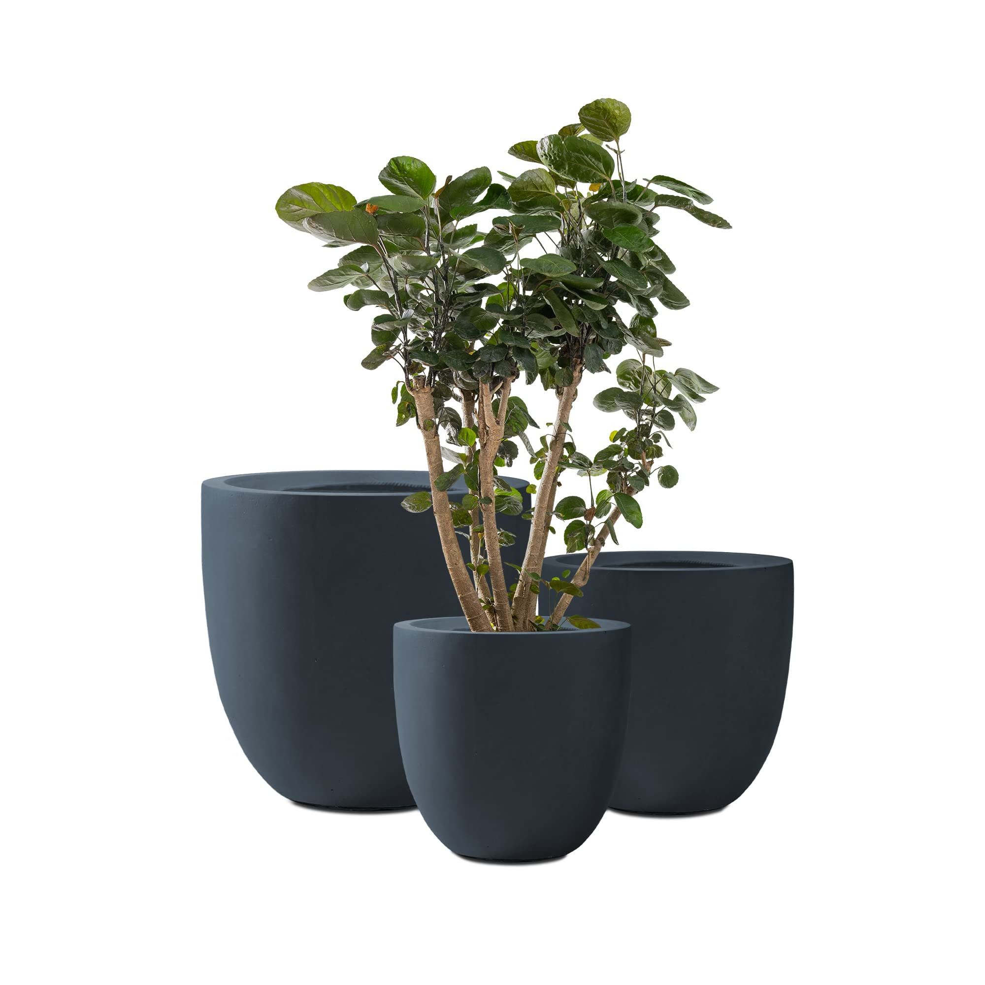 Kante 20", 16.5" and 13.3" D Round Charcoal Finish Concrete Modern Planters (Set of 3), Outdoor Indo | Amazon (US)