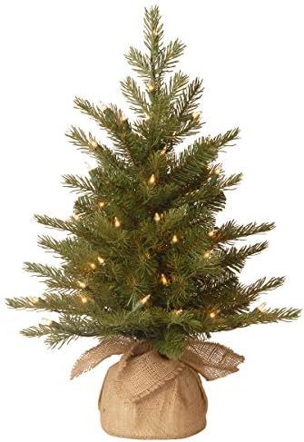 National Tree Company Pre-Lit 'Feel Real' Artificial Mini Christmas Tree, Green, Nordic Spruce, W... | Amazon (US)