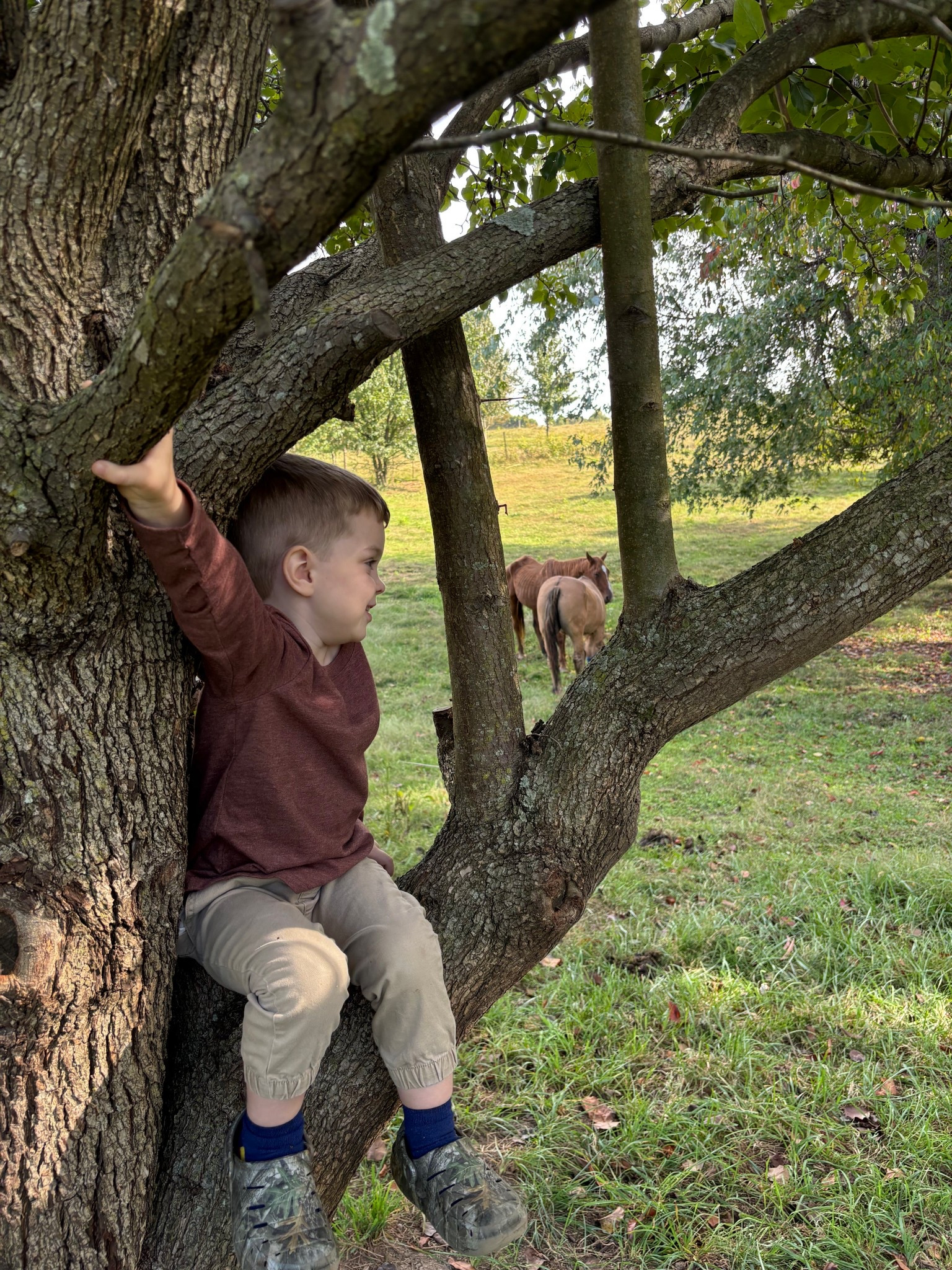 Living the dream!

#LTKKids #LTKFamily #LTKHome