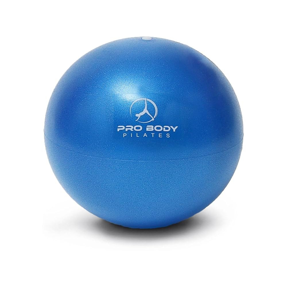 ProBody Pilates Small Exercise Ball - 9 Inch Workout Ball for Stability, Barre, Yoga, Core & Phys... | Amazon (US)
