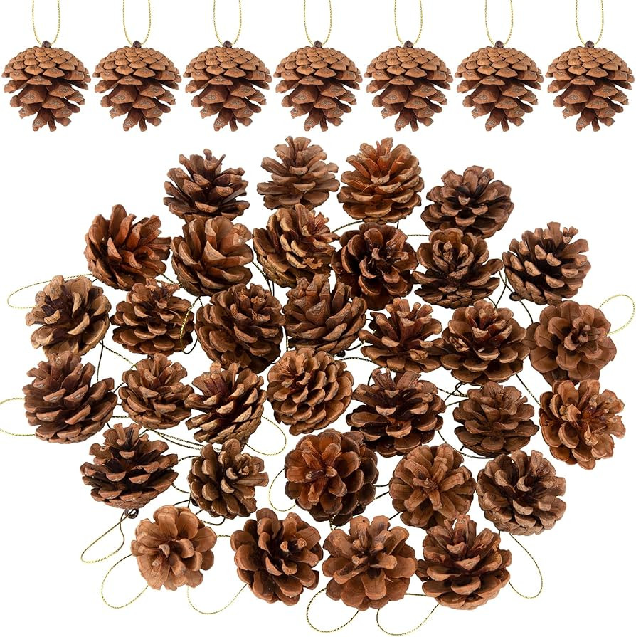 40PCS Christmas Pine Cones Ornaments with String 1.18"-2" Natural Small Pinecone Hanging Ornament... | Amazon (US)