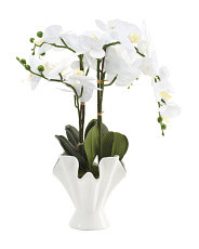Faux Orchid In Ceramic Pot | Marshalls