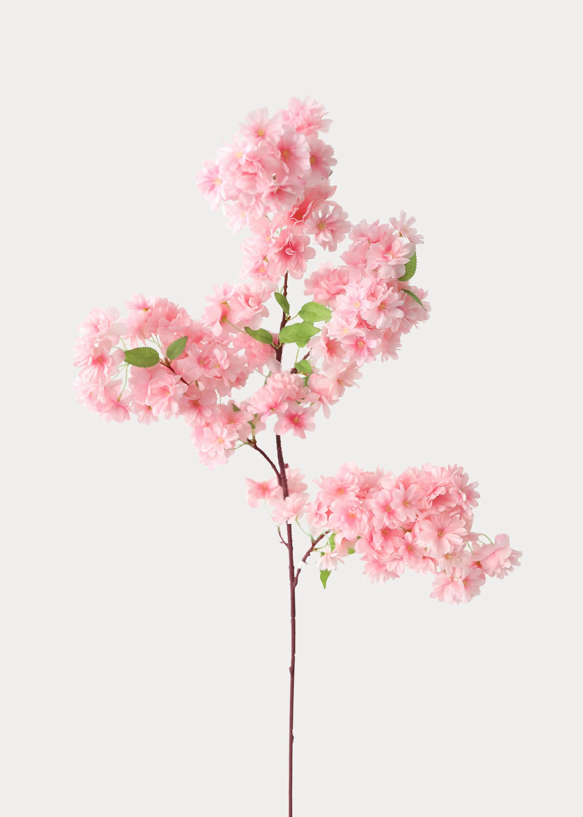 Spring Cherry Blossom Branch in Pink | Lifelike Fake Flowers | Afloral | Afloral