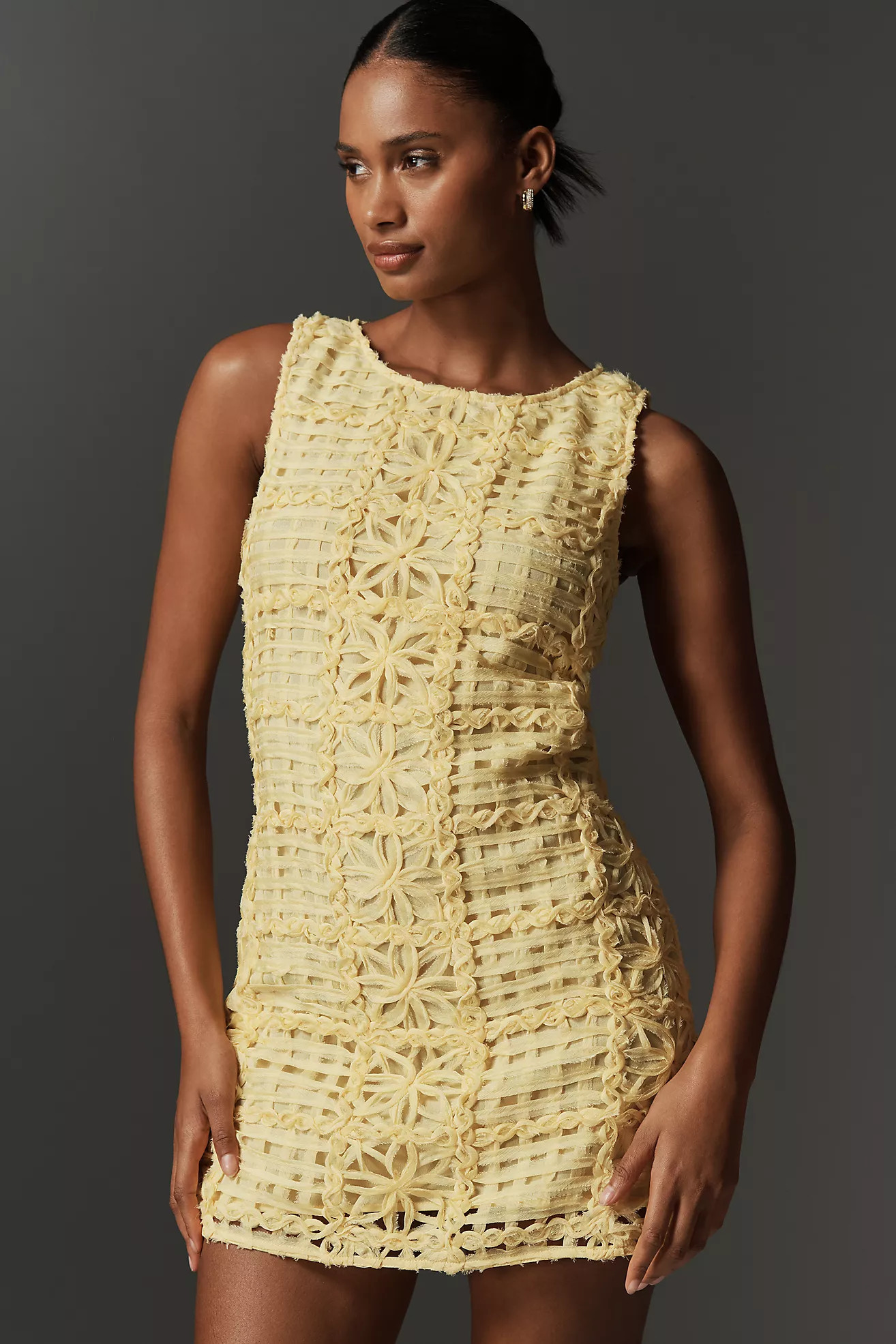 Endless Rose Sleeveless Lace Crew-Neck Mini Dress | Anthropologie (US)