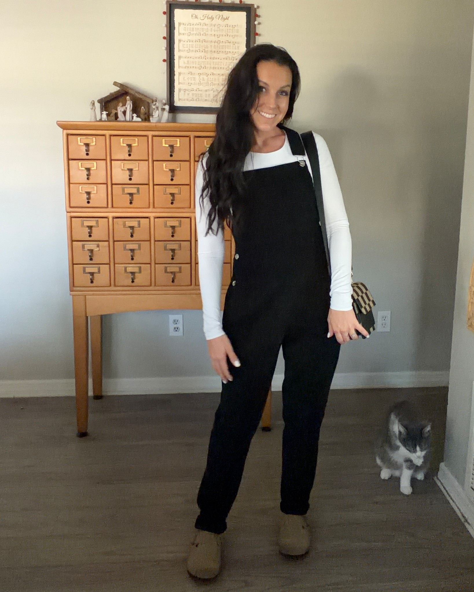 Black overalls
Slim fit white long sleeve stretchy shirt 
Brown affordable mules
Small checkered purse 
Cat not included 🤪

#LTKFindsUnder50 #LTKPetite #LTKSeasonal