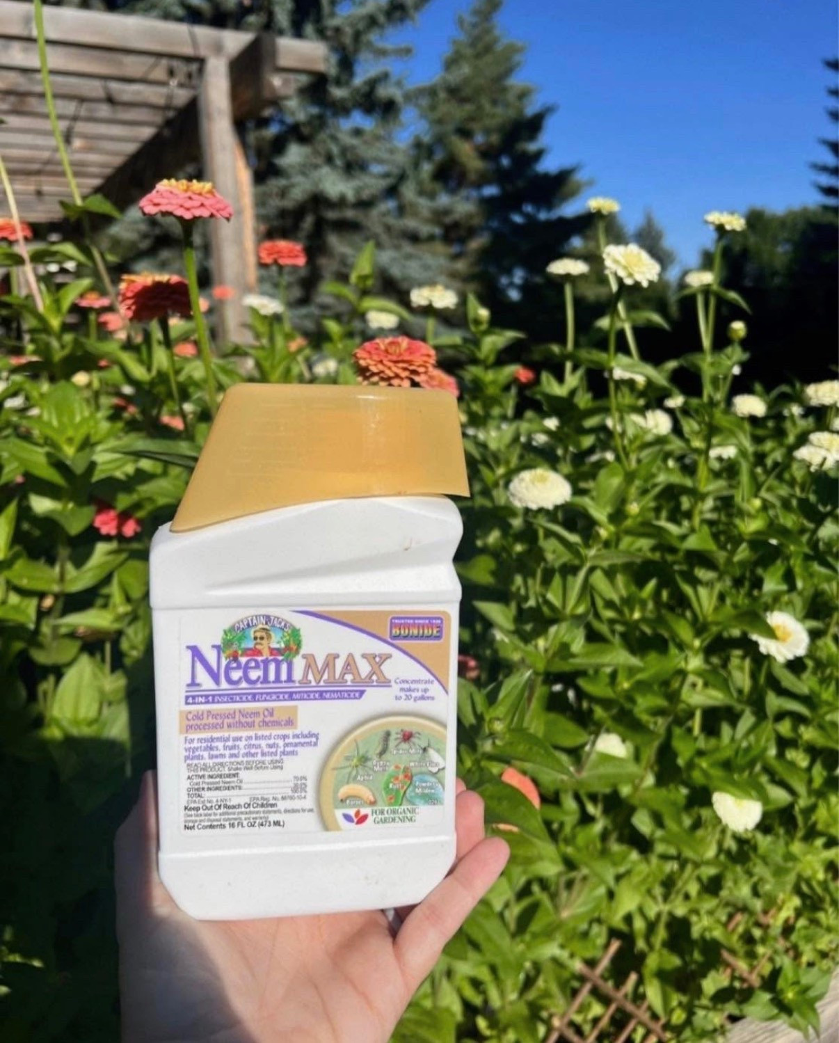 I like having this on hand for those little garden issues that pop up 🌱 It’s been a simple way to help keep my plants looking healthy throughout the season!

#LTKSeasonal #LTKHome #LTKSaleAlert