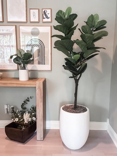 Amazon Fiddle tree and planter for my family room. Easy and affordable upgrade! 

Home decor, Amazon home, faux tree, living room decor 

#LTKHome #LTKFindsUnder100 #LTKSaleAlert