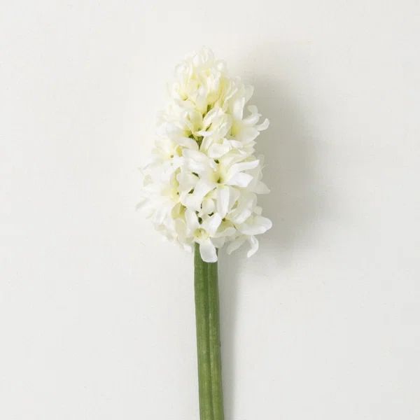 Hyacinth Stems, Bushes, And Sprays Arrangement | Wayfair North America