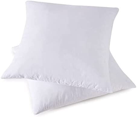 HOMESJUN Throw Pillow Inserts, Set of 2 Down Feather Pillows Inserts Bed and Couch Pillows Cotton... | Amazon (US)