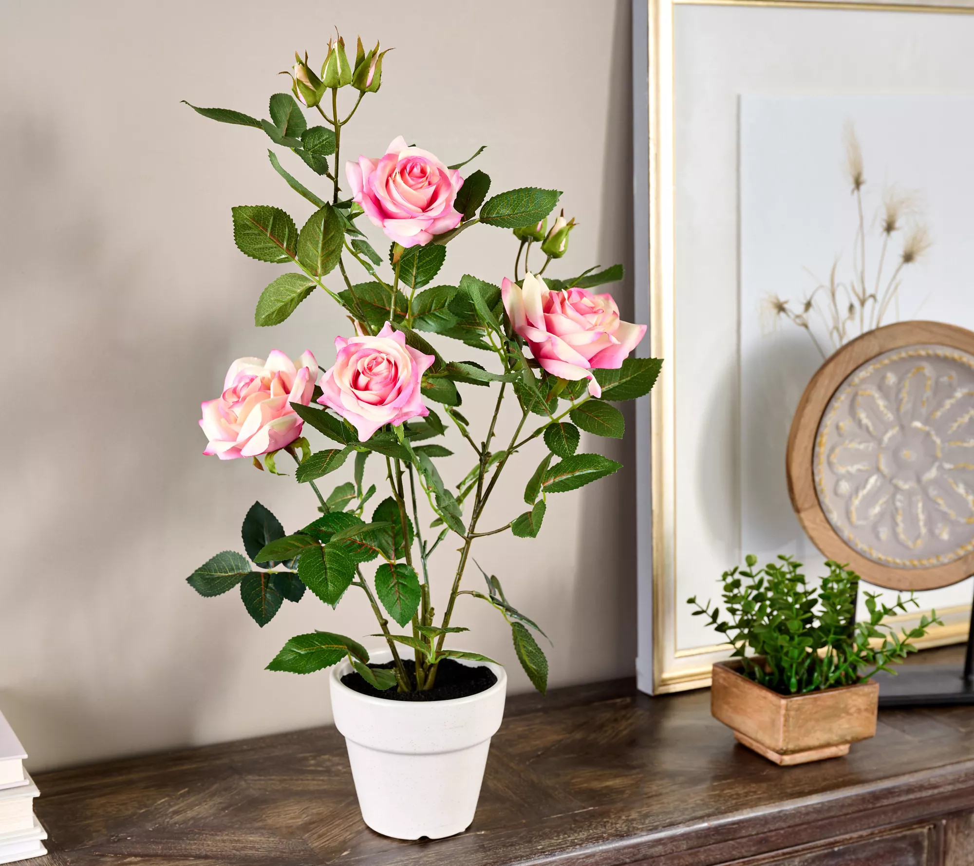 20" Rose Plant in Ceramic Pot by Valerie | QVC