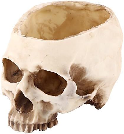 11.5cm Open Skeleton Skull Figurine Medium Bowl, Artificial Resin Skull Head Flower Pot Skull Can... | Amazon (US)