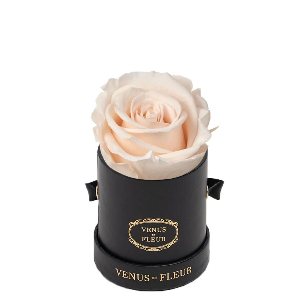 Le Mini Round - Black Classic with Eternity Roses | Venus ET Fleur