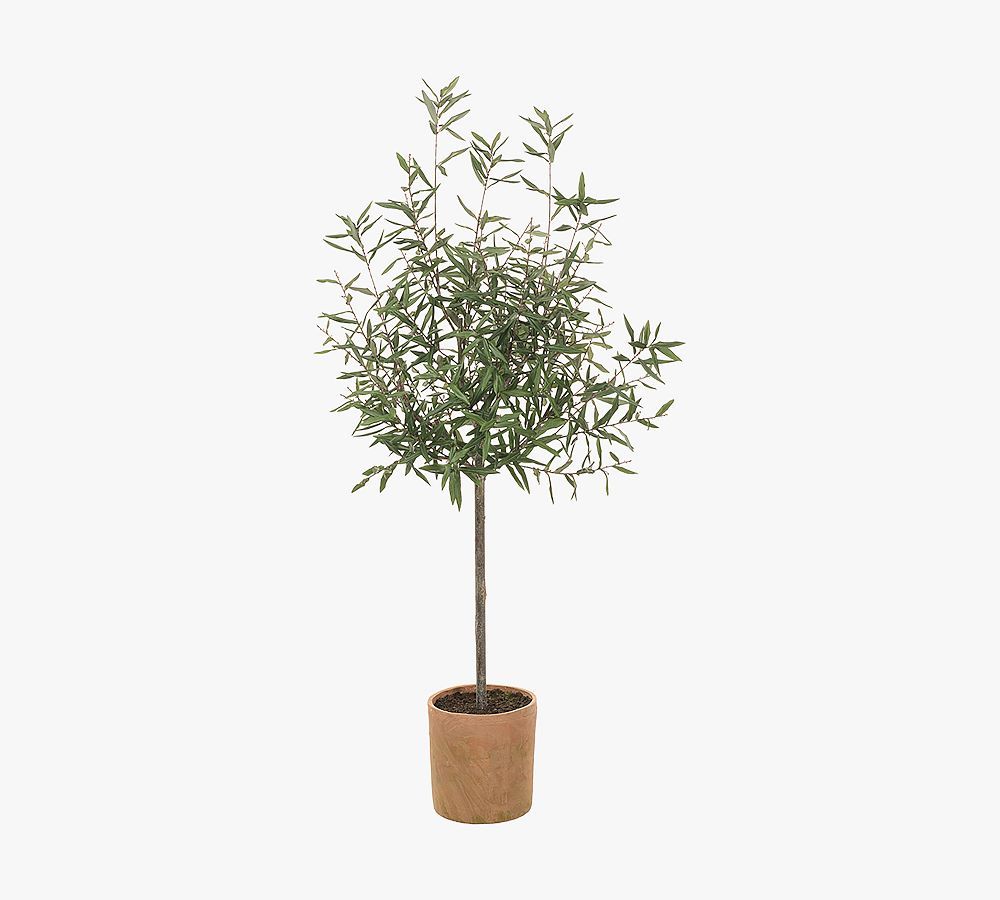Faux Olive Tree In Pot | Pottery Barn (US)