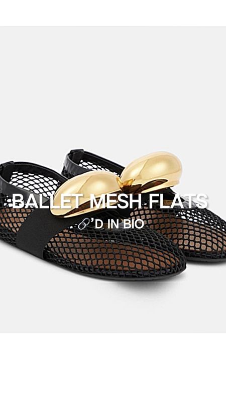 Ballet mesh flats 

#LTKstyletip #LTKGiftGuide #LTKshoecrush