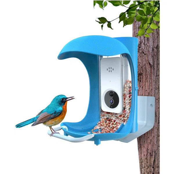 Araly Hanging Hopper Bird Feeder | Wayfair North America