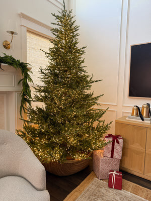 9' Norway Spruce Pre-Lit Christmas Tree | Cottage and Key
