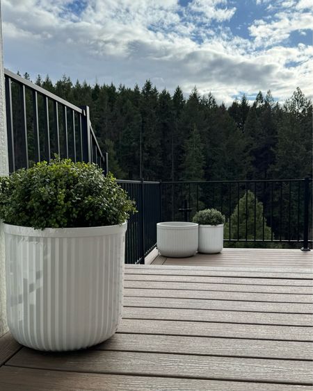 Shop my new planters and boxwoods! Planters are an amazing pottery barn dupe & only $29! 

Spring, summer, boxwood, topiary, amazon find, pottery barn, designer dupe, Walmart, outdoor living, pot, flutted planter, deck, Amazon home 

#LTKhome #LTKfindsunder50 #LTKsalealert