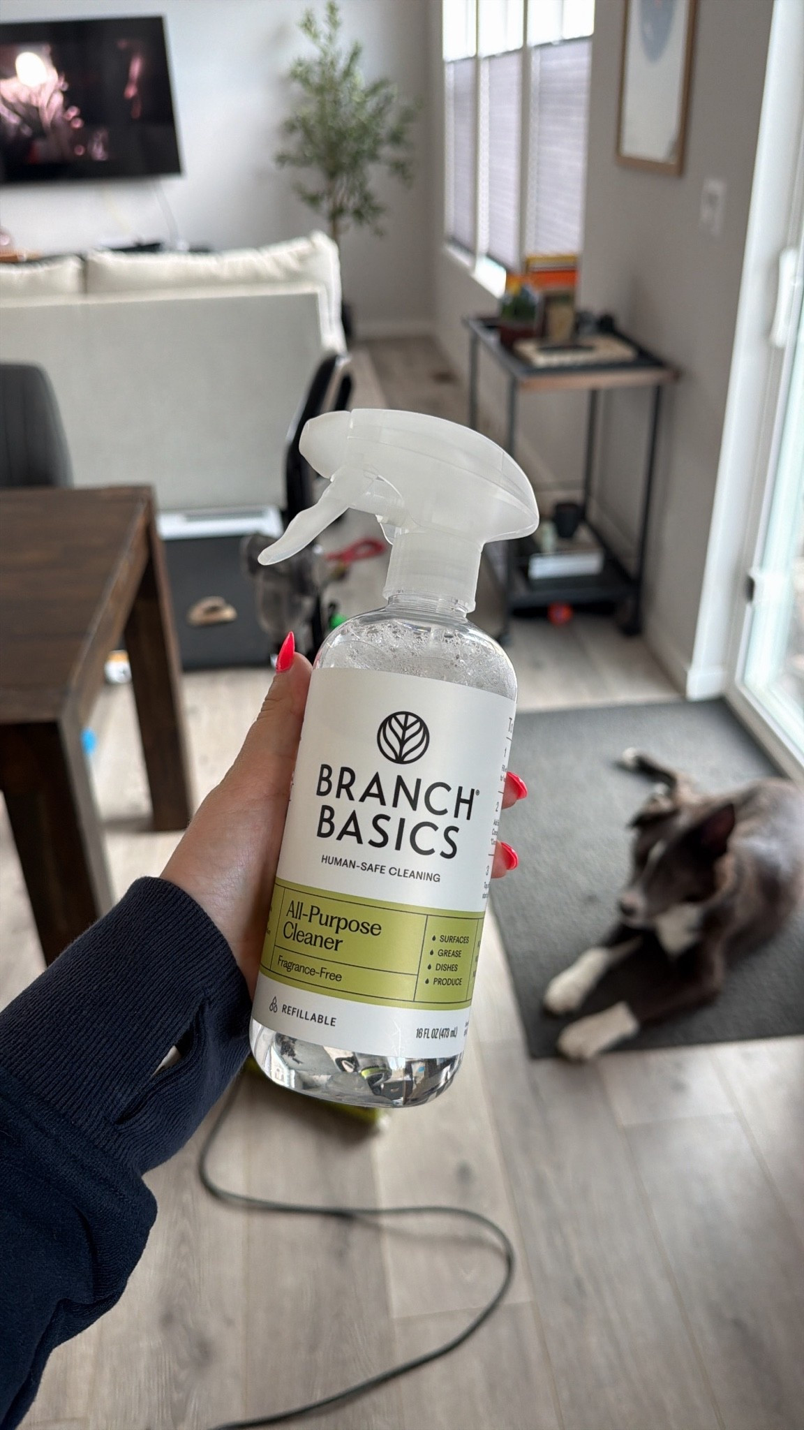 Forever reaching for Branch Basics. Safer ingredients, cleans like a charm, and I love having it around with a brand new puppy.

#LTKdayinmylife #LTKHome #LTKmomlife