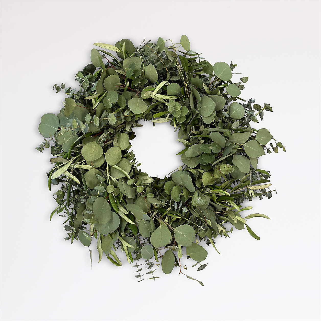 Live Eucalyptus & Olive Wreath 20" + Reviews | Crate & Barrel | Crate & Barrel