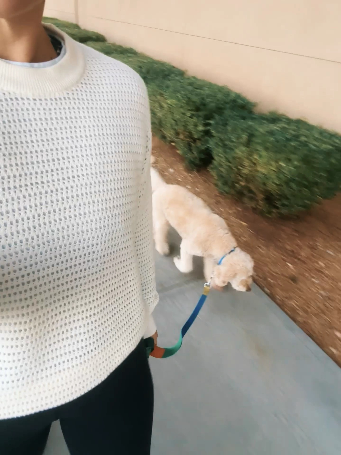 10.31.24 post-gym / walk daily look 

#LTKTravel #LTKSeasonal #LTKActive