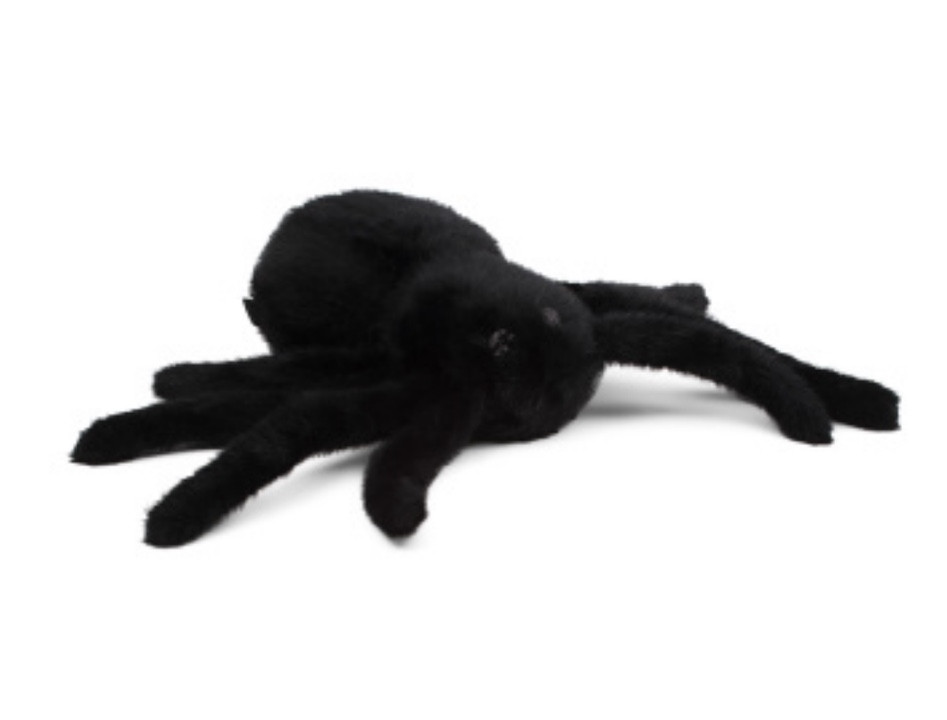 Spider pillow back in stock at TJ Maxx!! 😍

#LTKFindsUnder50 #LTKHome #LTKSeasonal