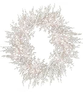 HGTV Home Collection Pre-Lit Christmas by The Sea Coral Artificial Wreath Pre-Strung with Warm Wh... | Amazon (US)