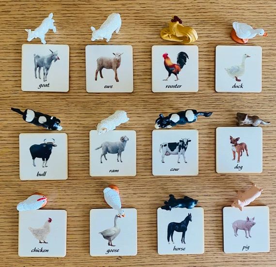 Montessori and Waldorf learning Farm Animal, sustainable match toys cards perfect for homeschooli... | Etsy (US)