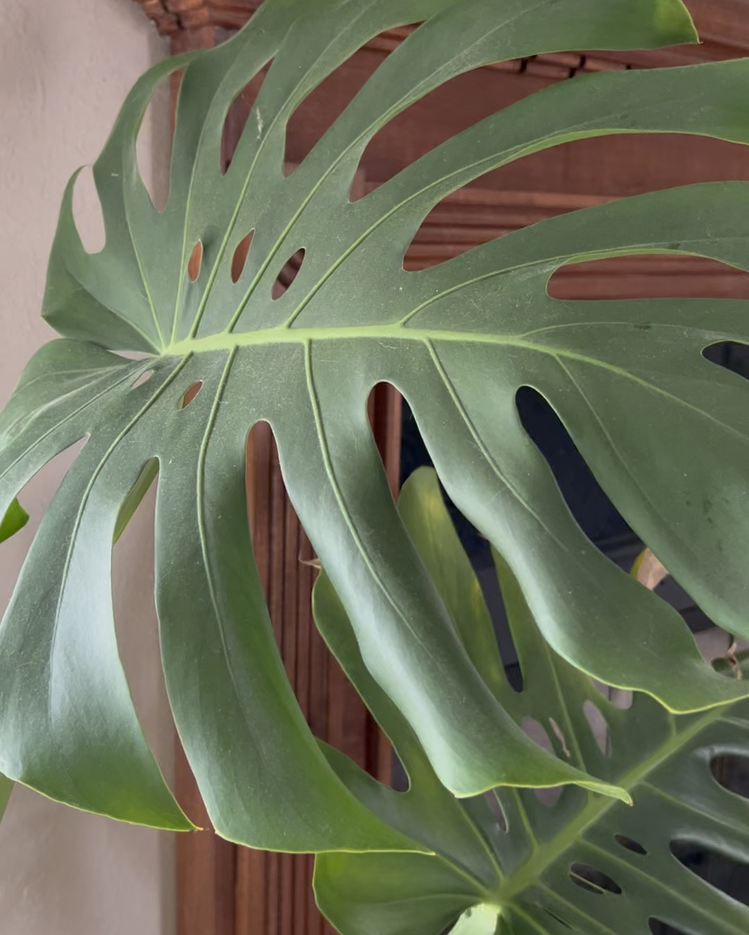 Putting the finishing touches on the mantle today! 

#LTKsalealert #LTKhome #LTKxTarget