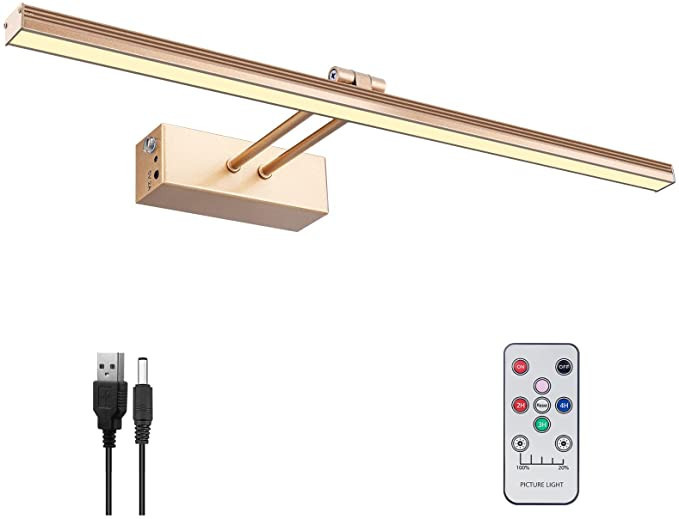 FUNCHDAY Picture Light, Remote Control Art Light with Brightness Dimmable, Timer Preset Picture L... | Amazon (US)